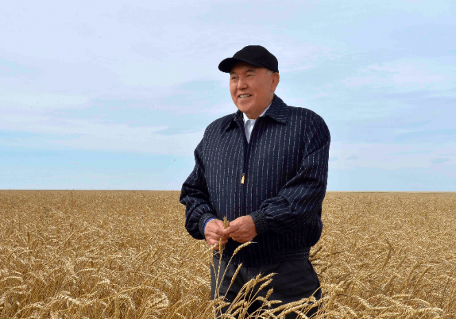 Аграрии Акмолинской области рассказали Назарбаеву о ходе уборки урожая