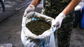 Треть наркопреступлений в Узбекистане совершает молодежь Узбекистан Сегодня, 13:09