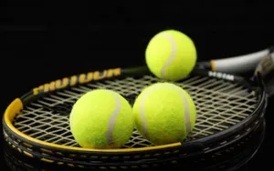 Australian Open: Шведова вышла во второй круг смешанного турнира