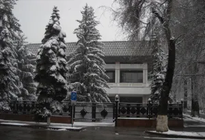 Фестиваль курдской культуры пройдет в Алматы