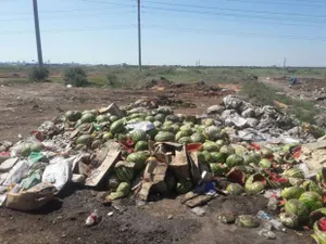 Новый закон об экологии спасет города от захламления мусором