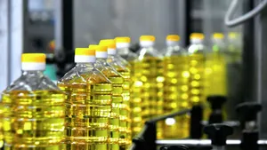 Производство растительного масла обсуждают страны ЕАЭС
