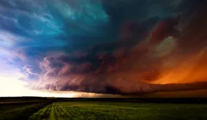 Сильный дождь с грозой ожидается в Шымкенте