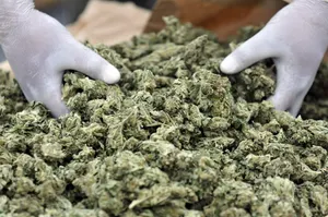 Более 5 кг гашиша изъято у жительницы Талдыкоргана