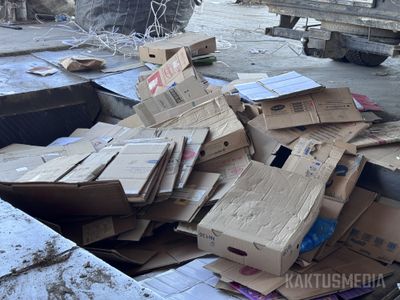 Сборщики макулатуры страдают от запрета на экспорт. Минэкономики только анализирует