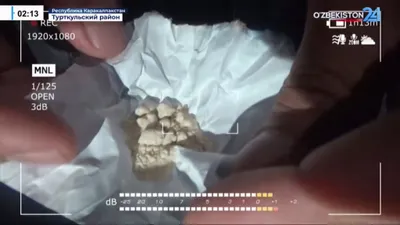 Таможня Узбекистана изъяла из оборота почти восемьсот килограммов наркотиков. Видео