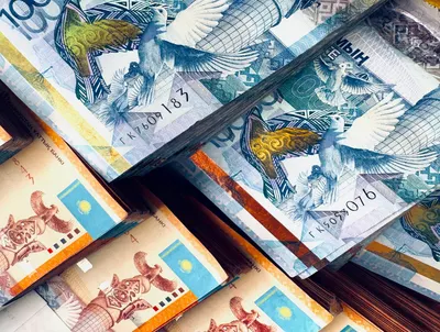 Более триллиона тенге направят на поддержку лиц с инвалидностью