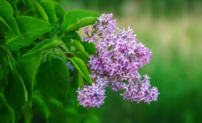 Погода без осадков ожидается на большей части Казахстана