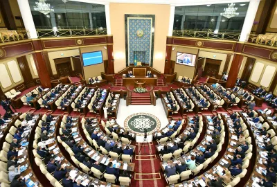 Направленные на борьбу с живодерами поправки рассмотрит парламент