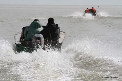 Масштабные рейды против браконьеров проходят в Казахстане