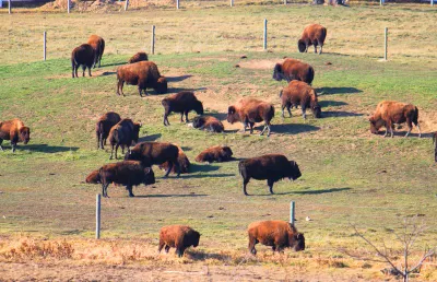 Изъять земельный участок инвестора за формальные нарушения планировали в Акмолинской области