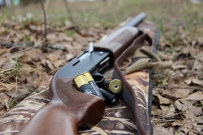 Акция по выкупу незаконного оружия стартует в Алматы