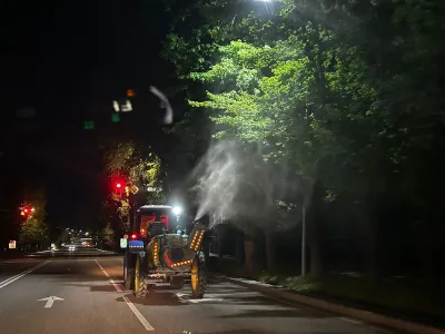 Обработку деревьев от вредителей начали в Алматы